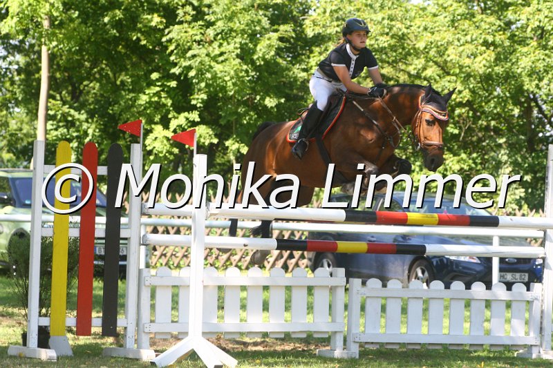 308M2132_Electra_Spring Mxx.JPG